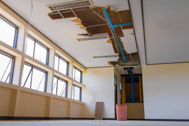 Best Water damage restoration cost  in Sloan, IA