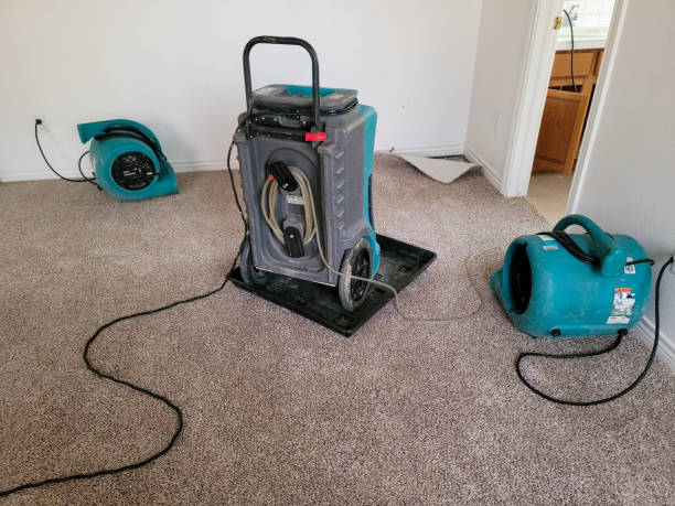 Best Fire Damage Restoration  in Sloan, IA