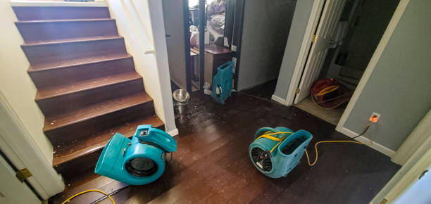 Carpet water damage restoration in IA