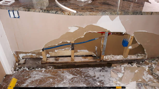 Best Flooded house restoration  in Sloan, IA