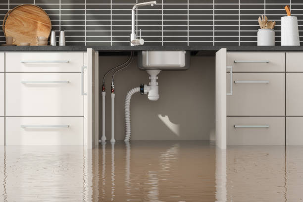 Best Residential water damage restoration  in Sloan, IA