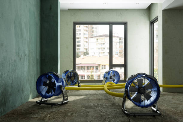 Water damage restoration mold remediation in IA